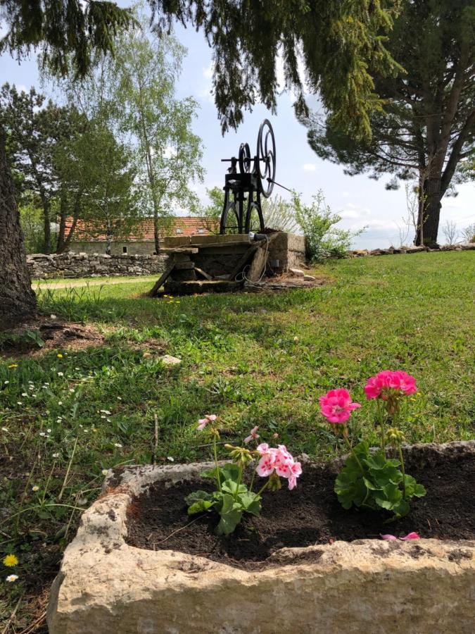 Domaine De Monplaisir Bed & Breakfast Caylus Dış mekan fotoğraf