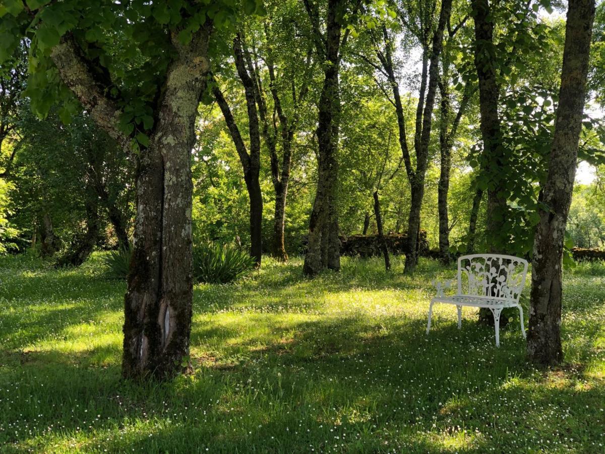Domaine De Monplaisir Bed & Breakfast Caylus Dış mekan fotoğraf